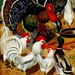 Thanksgiving Thanksgiving