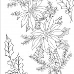 poinsettia poinsettia