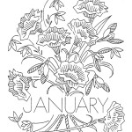 Flower_of_the_Month-1-Jan Flower_of_the_Month-1-Jan