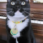 Elvis-Collar-2 Elvis-Collar-2