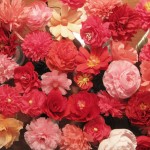 crepe-paper-flowers-group2