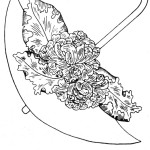 Umbrella-block-14