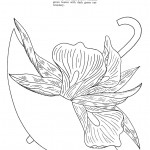 Umbrella-block-3-calla-lily