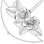 Umbrella-block-7