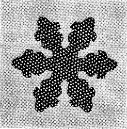 Farm-Journal-quilt-pattern-Christmas-Rose-2