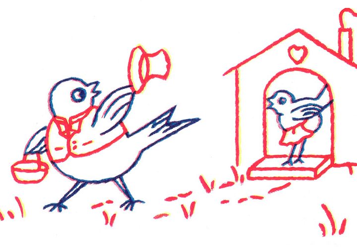 McCalls-238-embroidered-birds-for-kitchen-towels-1