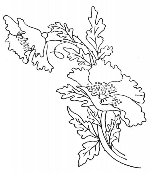 Poppy-Embroidery-Design-1911-1